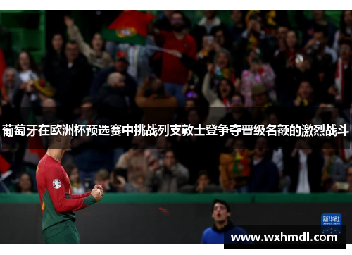葡萄牙在欧洲杯预选赛中挑战列支敦士登争夺晋级名额的激烈战斗
