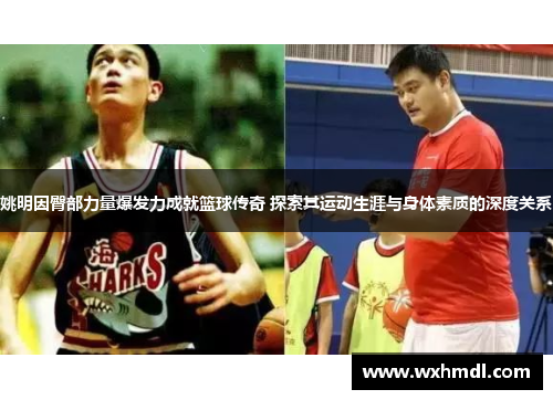 姚明因臀部力量爆发力成就篮球传奇 探索其运动生涯与身体素质的深度关系