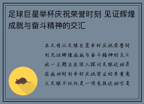 足球巨星举杯庆祝荣誉时刻 见证辉煌成就与奋斗精神的交汇