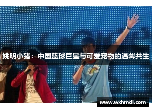 姚明小猪：中国篮球巨星与可爱宠物的温馨共生