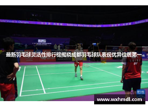 最新羽毛球灵活性排行榜揭晓成都羽毛球队表现优异位居第一