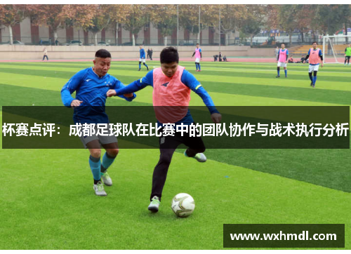 杯赛点评：成都足球队在比赛中的团队协作与战术执行分析