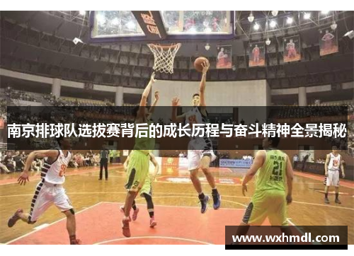 南京排球队选拔赛背后的成长历程与奋斗精神全景揭秘