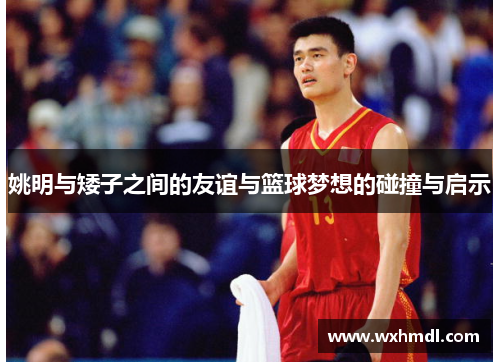 姚明与矮子之间的友谊与篮球梦想的碰撞与启示