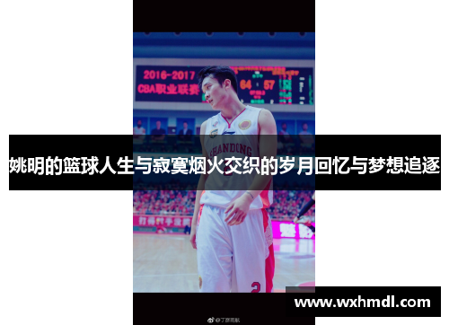 姚明的篮球人生与寂寞烟火交织的岁月回忆与梦想追逐