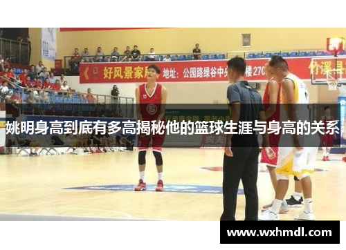 姚明身高到底有多高揭秘他的篮球生涯与身高的关系