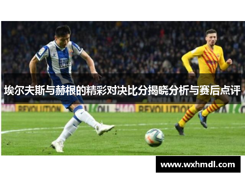 埃尔夫斯与赫根的精彩对决比分揭晓分析与赛后点评