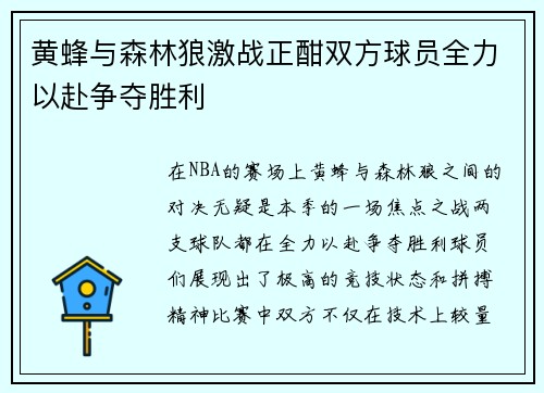 黄蜂与森林狼激战正酣双方球员全力以赴争夺胜利