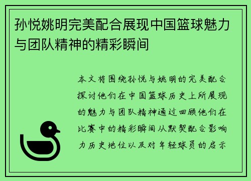 孙悦姚明完美配合展现中国篮球魅力与团队精神的精彩瞬间